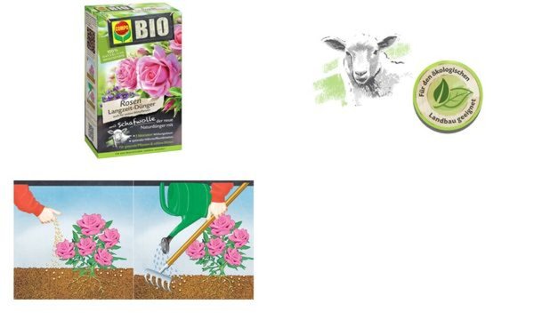 Image COMPO_BIO_Rosen_Langzeit-Dnger_mit_Schafwolle_img4_4387865.jpg Image