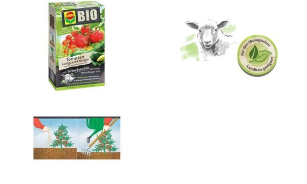 Image COMPO_BIO_Tomaten_Langzeit-Dnger_m_it_Schafwolle_img1_4387862.jpg Image