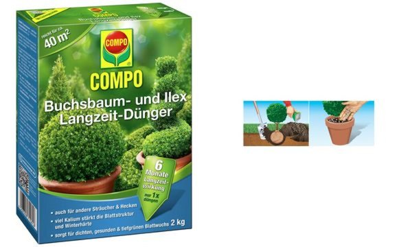 Image COMPO_Buchsbaum-_und_Ilex_Langzeit-_Dnger_img2_4664445.jpg Image