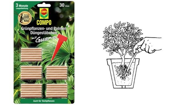 COMPO Grünpflanzen- und Palmen Düng estäbchen mit Guano (60010059)