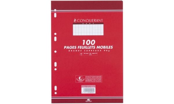 CONQUERANT SEPT Ringbucheinlagen, 2 10 x 297 mm (339206900)