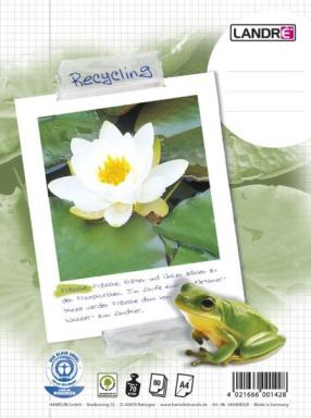 Collegeblock "RC", A4 , 80 Blatt, kariert, 70 g/qm, 4fach gelocht,