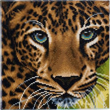 Crystal Art Leopard 30x30 cm, Nr: CAK-A66