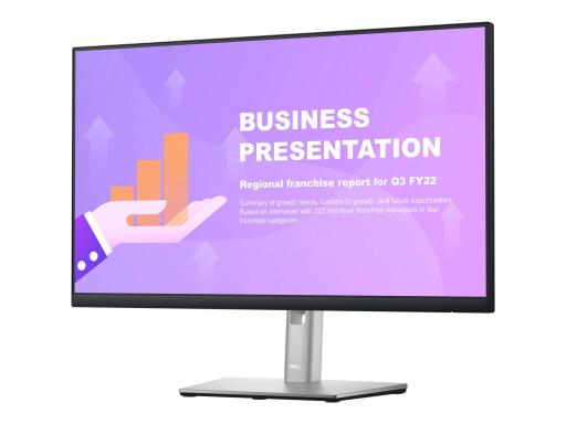 DELL P2422HE 60,5cm (24")