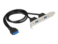 Image DELOCK_Slot_bracket_-_USB-Konsole_-_USB_img4_3860103.jpg Image