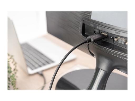 Image DIGITUS_-_Videoschnittstellen-Converter_-_img9_3723157.jpg Image