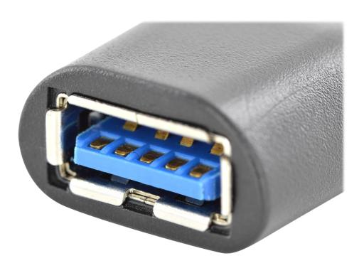 Image DIGITUS_Assmann_USB-Adapter_9-polig_USB_Typ_img6_4085029.jpg Image