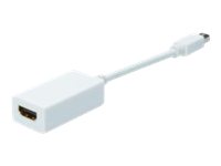 DIGITUS DISPLAYPORT ADAPTER CABLE.
