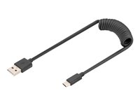 Image DIGITUS_USB_Type_A_to_USB_Type_C_Spring_cable_img5_4953507.jpg Image