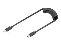Image DIGITUS_USB_Type_C_to_USB_Type_C_Spring_cable_img6_4953509.jpg Image