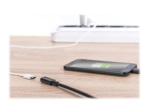 Image DIGITUS_USB_extension_cable_Type-C_-_C_img3_3861386.jpg Image