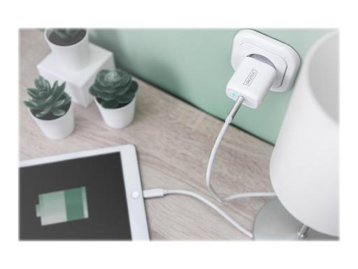 Image DIGITUS_Universal_Ladeadapter_USB-C_20_W_img9_4483635.jpg Image