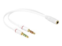 Image DeLOCK_Adapterkabel_Klinke_Headset1_x_4_Pin_img4_3706763.jpg Image