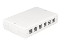 Image DeLOCK_Keystone_Leergehuse_12_Port_img1_3705012.jpg Image