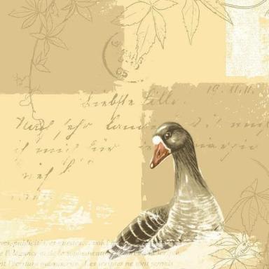 Dunilin Servietten 40 x 40 cm, 50 Stück/Pack | mit Motiv Goose >>Abverkauf, dann Artikel nicht mehr lieferbar