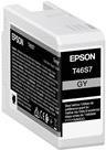 Image EPSON_Singlepack_Gray_T46S7_UltraChrome_Pro_img3_3694555.jpg Image