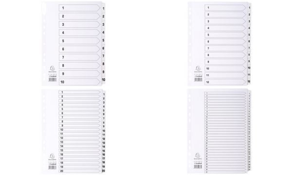 EXACOMPTA Karton-Register 1-10, DIN A4, weiß, 10-teilig (8701735)