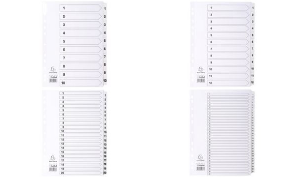 EXACOMPTA Karton-Register 1-31, DIN A4, weiß, 31-teilig (8701738)