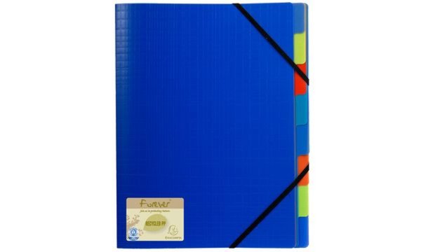 EXACOMPTA Ordnungsmappe, DIN A4, PP , 8 Fächer, blau (8701205)