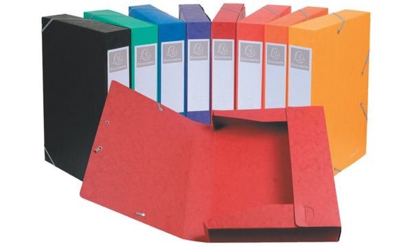 EXACOMPTA Sammelbox Cartobox, DIN A 4, 25 mm, grün (73000009)