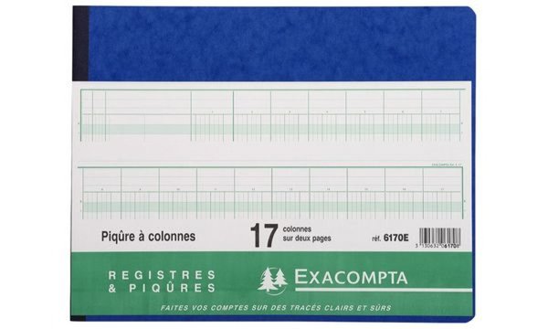 EXACOMPTA Spaltenbuch, 20 Spalten a uf 2 Seiten, 24 Zeilen (332224000)