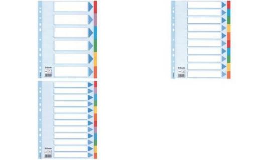 Esselte Karton-Register, blanko, A4 , 10-teilig, mehrfarbig (80100193)