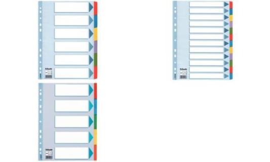 Esselte Karton-Register, blanko, A4 , 5-teilig, mehrfarbig (80100191)