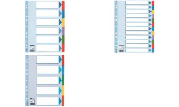 Esselte Karton-Register, blanko, A4 , 6-teilig, mehrfarbig (80100168)