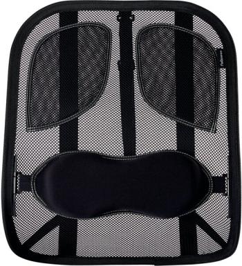 Image FELLOWES_Netz-Rckensttze_Professional_Series_img3_3802479.jpg Image