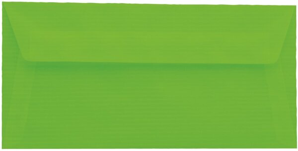 Farbiger Umschlag DL 120g/qm HK Minze 20 Stück