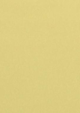 Farbiges Papier A4 120g Chamois 50 Blatt