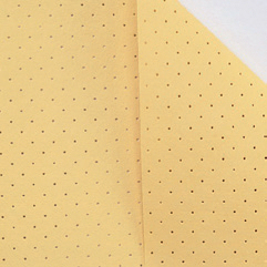 Fenstertuch "PERFO" gelocht 35 x 40 cmSaugfähiges, grobe Perforation, gute Gleiteigenschaft, waschbar 95 °C