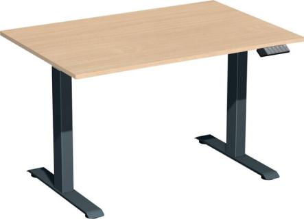 Elevate Basic Elektro-Hubtisch 1200x800x730-1230 buche/anthrazit