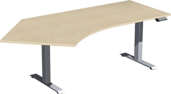 Elevate Basic Elektro-Hubtisch 2166x1130x730-1230 ahorn/silber