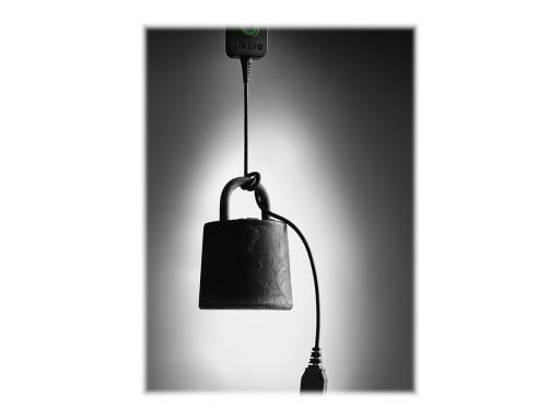 Image GN_NETCOM_JABRA_BIZ_2300_USB_binaural_img4_3704988.jpg Image