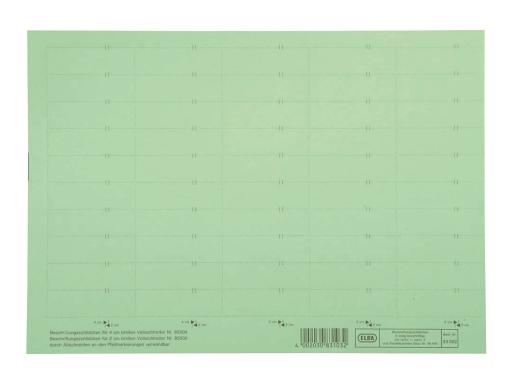 HAMELIN ELBA Beschriftungsschild für Sichtreiter, 4-zeilig, grün - für den Mark