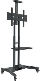 Image HAO8209_A01.jpg Image