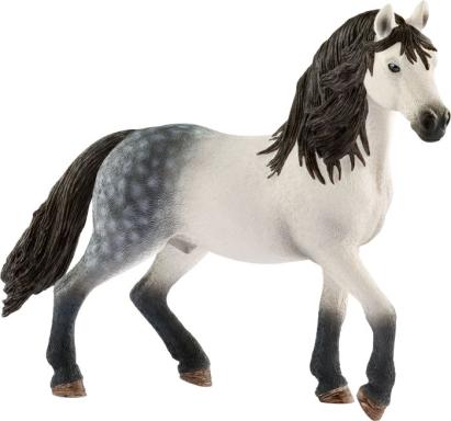 HC Andalusier Hengst, Nr: 13821