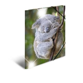 Sammelmappe Glossy A4 PP Koala 