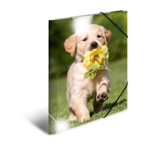 Sammelmappe Glossy A3 PP Hunde 