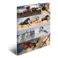 Image HERMA_Sammelmappe_A3_Pferde_Pappe_img1_4295859.jpg Image