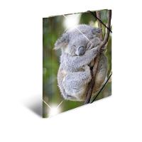 HERMA Sammelmappe A4 Glossy Koala Polypropylen