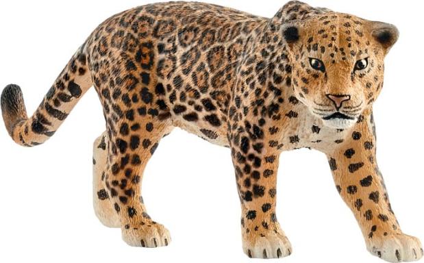 Jaguar, Nr: 14769