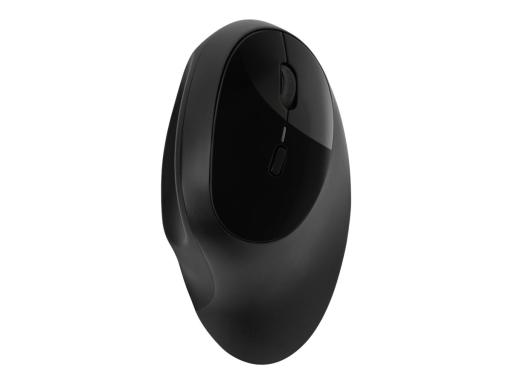 Image KENSINGTON_Pro_Fit_Ergo_wireless_mouse_black_img6_3711473.jpg Image