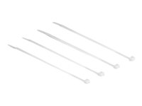 Image Kabelbinder_Delock_100mm_100Stk_transparent_img1_3705105.jpg Image