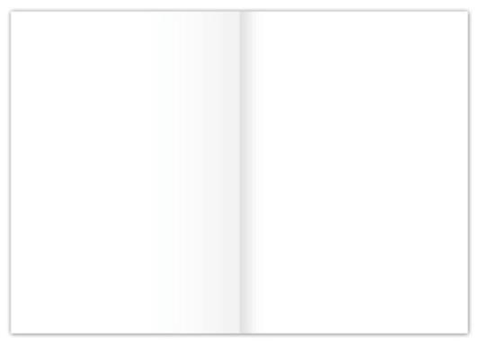 Kanzleibogen, LIN20, 80g/qm, blanko, 250 Bogen, gefalzt A3 auf A4