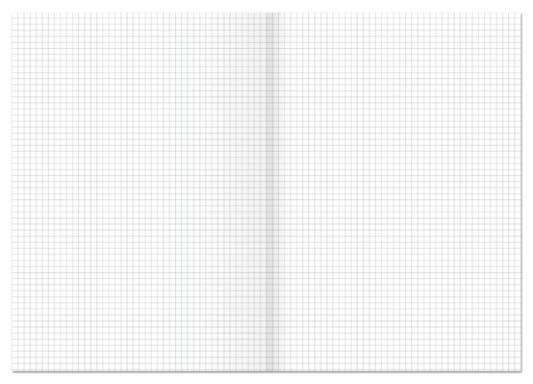 Kanzleibogen, LIN.22, 80g/qm, kariert, 250 Bogen, gefalzt A3 auf A4