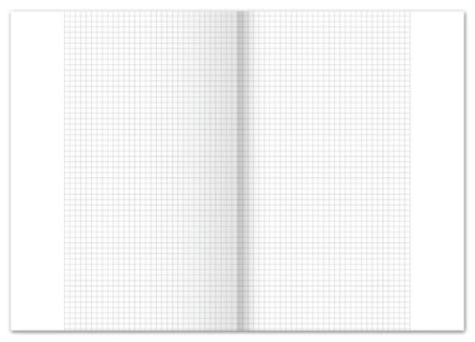 Kanzleibogen, LIN.26, 80g/qm, kariert, mit Rand, 250 Bogen, gefalzt A3