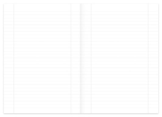 Kanzleibogen, LIN.27, 80g/qm, liniert 250 Bogen, gefalzt A3 auf A4, mit