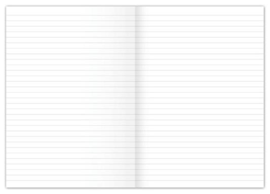 Kanzleibogen, LIN 21, 80g/qm, liniert, 250 Bogen, gefalzt A3 auf A4